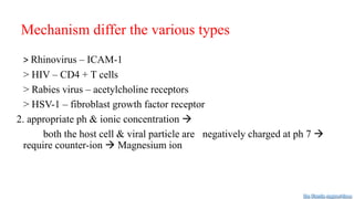Mechanism differ the various types
> Rhinovirus – ICAM-1
> HIV – CD4 + T cells
> Rabies virus – acetylcholine receptors
> HSV-1 – fibroblast growth factor receptor
2. appropriate ph & ionic concentration 
both the host cell & viral particle are negatively charged at ph 7 
require counter-ion  Magnesium ion
Dr. Farzin Asghari Sana
 