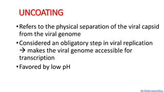 UNCOATING
•Refers to the physical separation of the viral capsid
from the viral genome
•Considered an obligatory step in viral replication
 makes the viral genome accessible for
transcription
•Favored by low pH
Dr. Farzin Asghari Sana
 