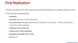 • When a virus infects a cell, nucleic acid must be uncoated and gain access to metabolic machinery of cell.
• Virus life cycle is characterized by:
• attachment
• penetration, with entry of nucleic acid into cell
• early expression of virus genes (either directly by translation, if virus contains "+" RNA, or indirectly after
transcription and then translation)
• replication of virus nucleic acid
• synthesis of new Virion components
• packaging and assembly of new virions
• exit from cell
Viral Replication
Dr. Farzin Asghari Sana
 
