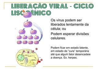 Multiplicação do material genético do vírus. 