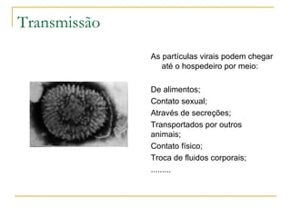 Ciclo lítico:  q ue provoca a morte da célula hospedeira .  Sintomas de doenças provocadas por vírus com esse tipo de ciclo aparecem imediatamente.   Ciclo lisogênico:   o material genético do vírus torna-se parte do DNA da célula, que continua suas atividades normais. Doenças causadas por esses vírus tendem a ser incuráveis e seus sintomas  d emoram para aparecer. Ciclos: 