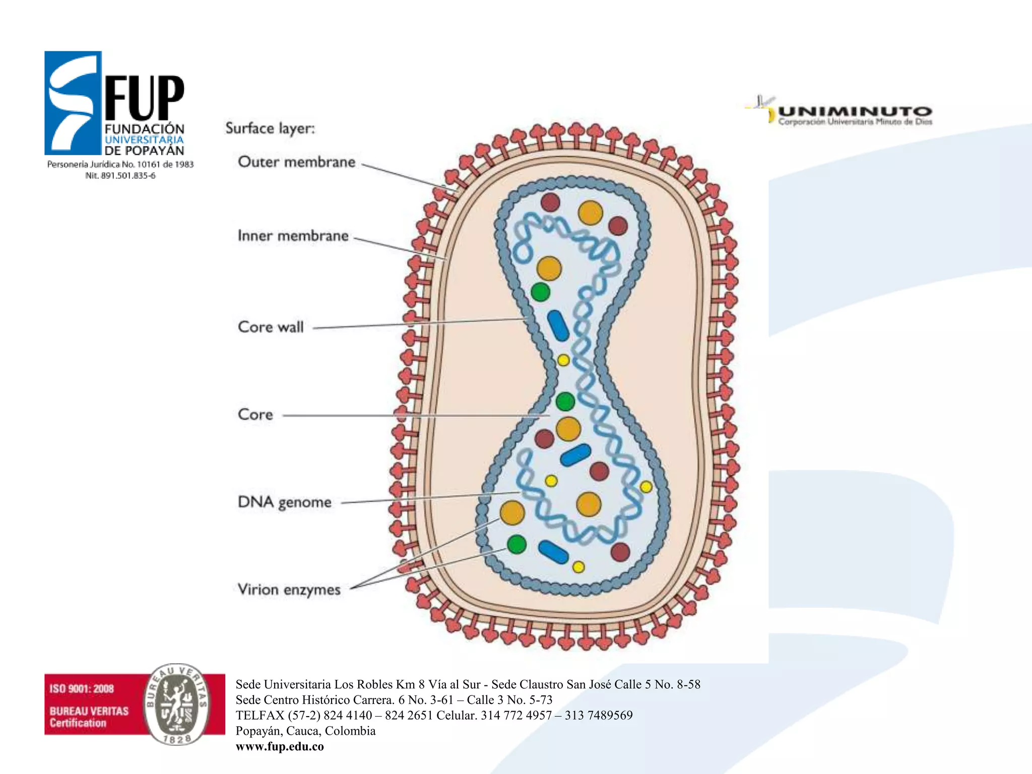 Sede Universitaria Los Robles Km 8 Vía al Sur - Sede Claustro San José Calle 5 No. 8-58
Sede Centro Histórico Carrera. 6 No. 3-61 – Calle 3 No. 5-73
TELFAX (57-2) 824 4140 – 824 2651 Celular. 314 772 4957 – 313 7489569
Popayán, Cauca, Colombia
www.fup.edu.co
 
