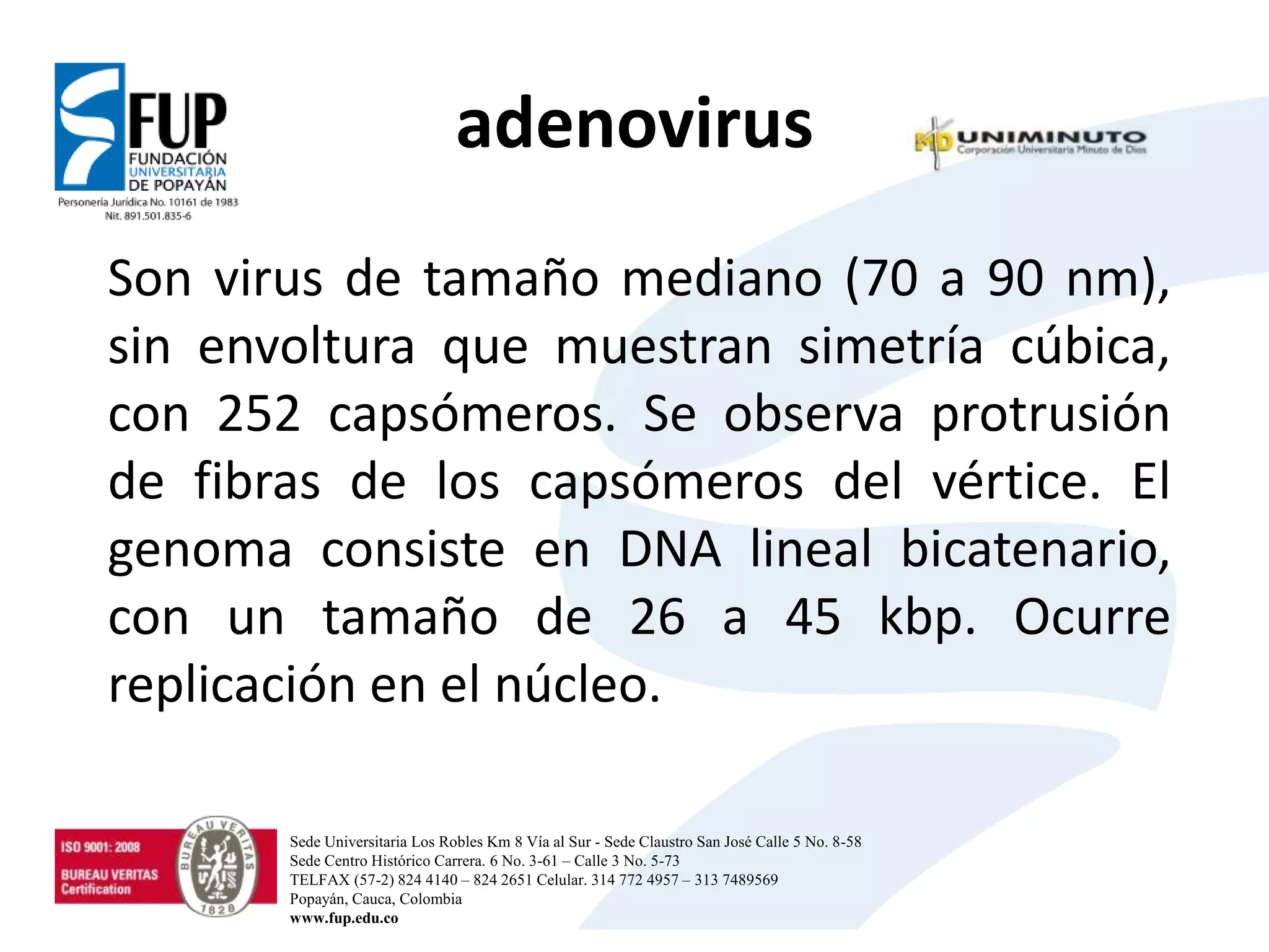 adenovirus
Son virus de tamaño mediano (70 a 90 nm),
sin envoltura que muestran simetría cúbica,
con 252 capsómeros. Se observa protrusión
de fibras de los capsómeros del vértice. El
genoma consiste en DNA lineal bicatenario,
con un tamaño de 26 a 45 kbp. Ocurre
replicación en el núcleo.
Sede Universitaria Los Robles Km 8 Vía al Sur - Sede Claustro San José Calle 5 No. 8-58
Sede Centro Histórico Carrera. 6 No. 3-61 – Calle 3 No. 5-73
TELFAX (57-2) 824 4140 – 824 2651 Celular. 314 772 4957 – 313 7489569
Popayán, Cauca, Colombia
www.fup.edu.co
 