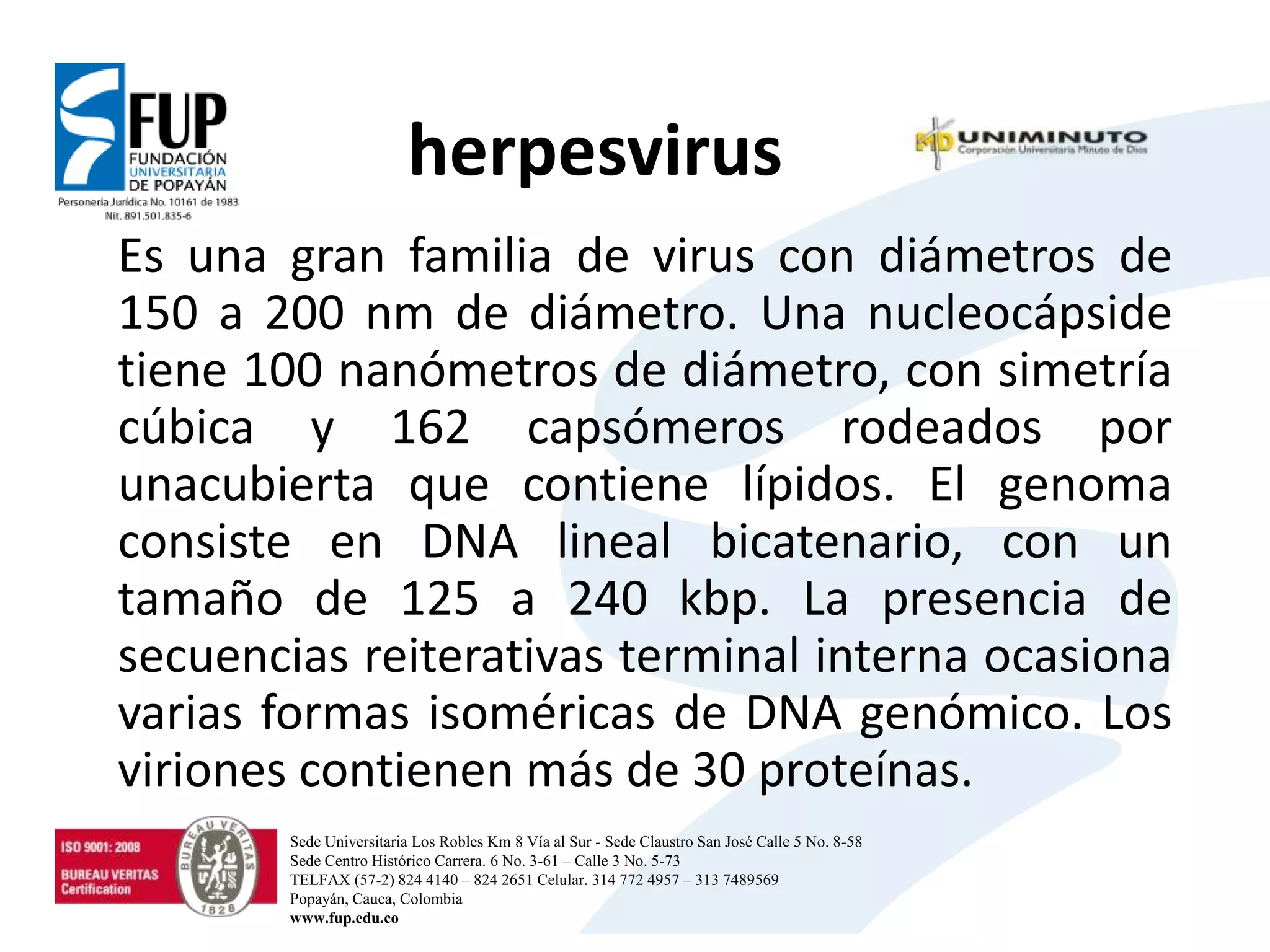 herpesvirus
Es una gran familia de virus con diámetros de
150 a 200 nm de diámetro. Una nucleocápside
tiene 100 nanómetros de diámetro, con simetría
cúbica y 162 capsómeros rodeados por
unacubierta que contiene lípidos. El genoma
consiste en DNA lineal bicatenario, con un
tamaño de 125 a 240 kbp. La presencia de
secuencias reiterativas terminal interna ocasiona
varias formas isoméricas de DNA genómico. Los
viriones contienen más de 30 proteínas.
Sede Universitaria Los Robles Km 8 Vía al Sur - Sede Claustro San José Calle 5 No. 8-58
Sede Centro Histórico Carrera. 6 No. 3-61 – Calle 3 No. 5-73
TELFAX (57-2) 824 4140 – 824 2651 Celular. 314 772 4957 – 313 7489569
Popayán, Cauca, Colombia
www.fup.edu.co
 