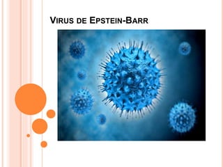 VIRUS DE EPSTEIN-BARR
 