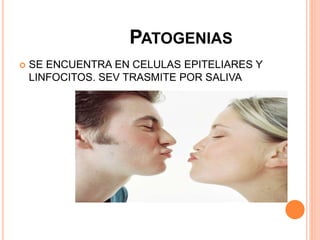 PATOGENIAS
 SE ENCUENTRA EN CELULAS EPITELIARES Y
LINFOCITOS. SEV TRASMITE POR SALIVA
 