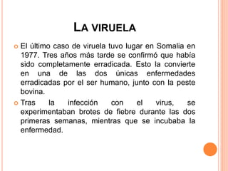 LA VIRUELA
 El último caso de viruela tuvo lugar en Somalia en
1977. Tres años más tarde se confirmó que había
sido completamente erradicada. Esto la convierte
en una de las dos únicas enfermedades
erradicadas por el ser humano, junto con la peste
bovina.
 Tras la infección con el virus, se
experimentaban brotes de fiebre durante las dos
primeras semanas, mientras que se incubaba la
enfermedad.
 