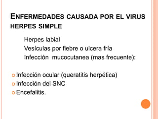 ENFERMEDADES CAUSADA POR EL VIRUS
HERPES SIMPLE
Herpes labial
Vesículas por fiebre o ulcera fría
Infección mucocutanea (mas frecuente):
 Infección ocular (queratitis herpética)
 Infección del SNC
 Encefalitis.
 