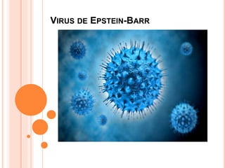 Virus adn con envoltura