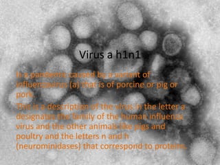Virus a h1n1 Is a pandemiccausedby a variant of influenzavirus (a) thatis of porcineorpigorpork. Thisis a description of the virus in theletter a designatesthefamily of thehuman influenza virus and theotheranimalslikepigs and poultry and theletters n and h (neurominidases) thatcorrespondtoproteins. 