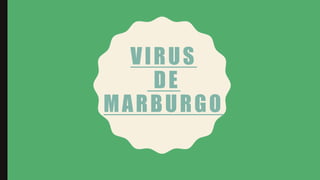 VIRUS
DE
MARBURGO
 