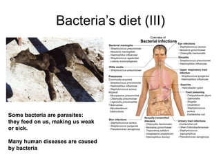 Bacteria’s diet (III) Some bacteria are parasites: they feed on us, making us weak or sick. Many human diseases are caused by bacteria