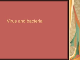 Virus and bacteria 