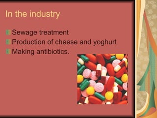 In the industry Sewage treatment Production of cheese and yoghurt Making antibiotics. 