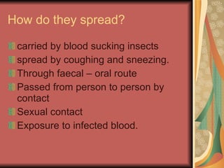How do they spread? carried by blood sucking insects spread by coughing and sneezing.  Through faecal – oral route Passed from person to person by contact Sexual contact Exposure to infected blood.  