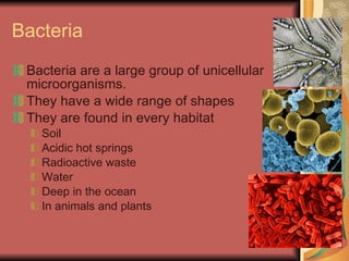 Bacteria Bacteria are a large group of unicellular microorganisms. They have a wide range of shapes They are found in every habitat Soil Acidic hot springs Radioactive waste Water Deep in the ocean In animals and plants 