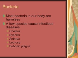 Bacteria Most bacteria in our body are harmless A few species cause infectious diseases Cholera Syphilis Anthrax Leprosy Bubonic plague 
