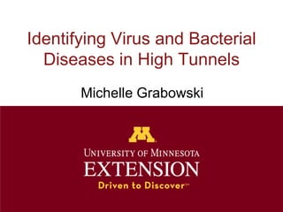 Identifying Virus and Bacterial
  Diseases in High Tunnels
       Michelle Grabowski
 