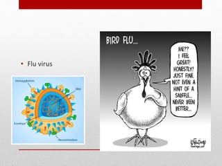 Influenza
• Flu virus
 