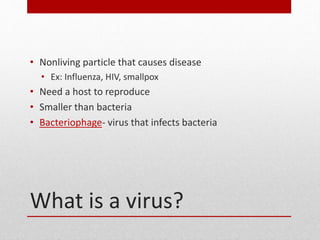 What is a virus?
• Nonliving particle that causes disease
• Ex: Influenza, HIV, smallpox
• Need a host to reproduce
• Smaller than bacteria
• Bacteriophage- virus that infects bacteria
 