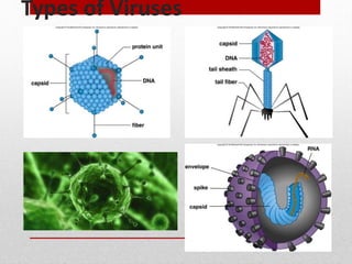 Types of Viruses
 