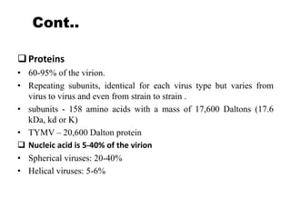 Cont..
Proteins
• 60-95% of the virion.
• Repeating subunits, identical for each virus type but varies from
virus to virus and even from strain to strain .
• subunits - 158 amino acids with a mass of 17,600 Daltons (17.6
kDa, kd or K)
• TYMV – 20,600 Dalton protein
 Nucleic acid is 5-40% of the virion
• Spherical viruses: 20-40%
• Helical viruses: 5-6%
 