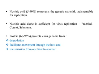 • Nucleic acid (5-40%) represents the genetic material, indispensable
for replication .
• Nucleic acid alone is sufficient for virus replication – Fraenkel-
Conrat, Schramm.
• Protein (60-95%) protects virus genome from :
 degradation
 facilitates movement through the host and
 transmission from one host to another
 
