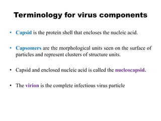 Terminology for virus components
• Capsid is the protein shell that encloses the nucleic acid.
• Capsomers are the morphological units seen on the surface of
particles and represent clusters of structure units.
• Capsid and enclosed nucleic acid is called the nucleocapsid.
• The virion is the complete infectious virus particle
 