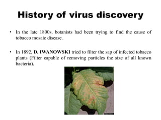 History of virus discovery
• In the late 1800s, botanists had been trying to find the cause of
tobacco mosaic disease.
• In 1892, D. IWANOWSKI tried to filter the sap of infected tobacco
plants (Filter capable of removing particles the size of all known
bacteria).
 