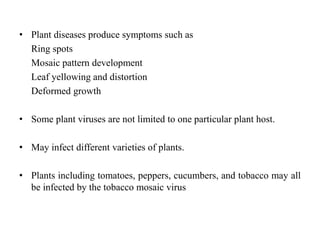• Plant diseases produce symptoms such as
Ring spots
Mosaic pattern development
Leaf yellowing and distortion
Deformed growth
• Some plant viruses are not limited to one particular plant host.
• May infect different varieties of plants.
• Plants including tomatoes, peppers, cucumbers, and tobacco may all
be infected by the tobacco mosaic virus
 