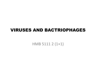 VIRUSES AND BACTRIOPHAGES
HMB 5111 2 (1+1)
 