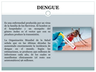DENGUE
Es una enfermedad producida por un virus
de la familia de los flavivirus. El hombre es
el hospedador y un mosquito del
género Aedes es el vector que con su
picadura produce la transmisión.
La Organización Mundial de la Salud
señala que en las últimas décadas ha
aumentado enormemente la incidencia de
dengue en el mundo. Según las
estimaciones, se producen 390 millones de
infecciones cada año, de los cuales se
manifiestan clínicamente (el resto son
asintomáticos) 96 millones.
 