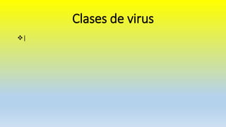 Clases de virus
|
 