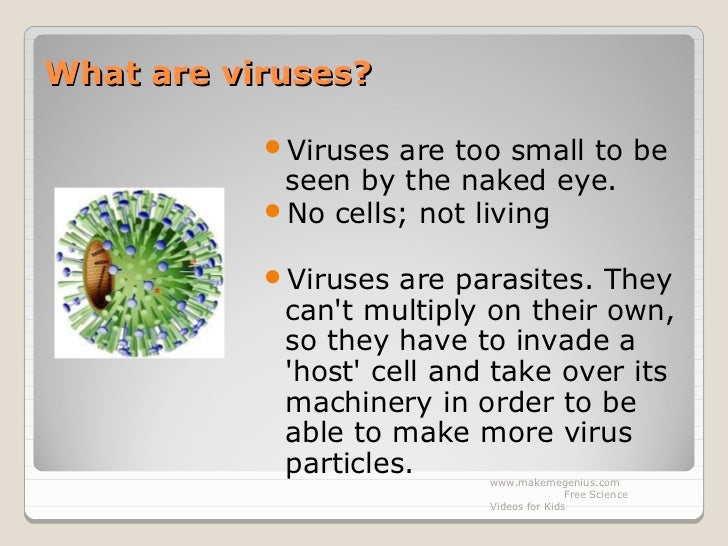 Virus ,bacteria define, infections ,d ifference,diseases