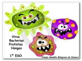 Virus
Bacterias
Protistas
 Hongos

1º ESO      Colegio Medalla Milagrosa de Zamora
 