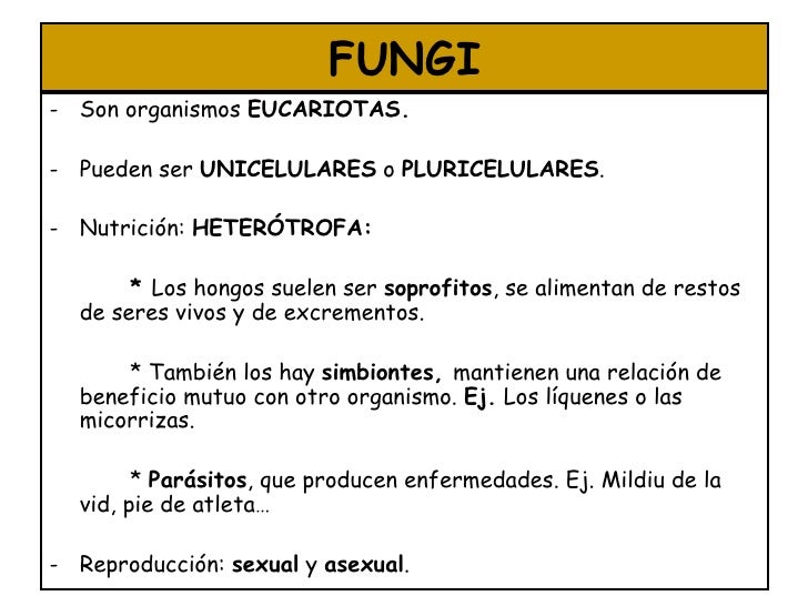 Las medicinas homeopáticas contra el hongo de las uñas