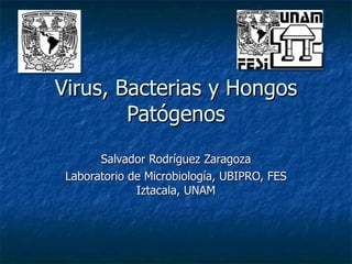 Virus, Bacterias y Hongos Patógenos Salvador Rodríguez Zaragoza Laboratorio de Microbiología, UBIPRO, FES Iztacala, UNAM 