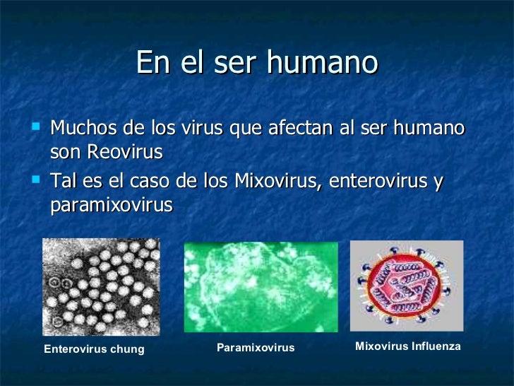 Como librarse del depósito en el vientre a los hombres