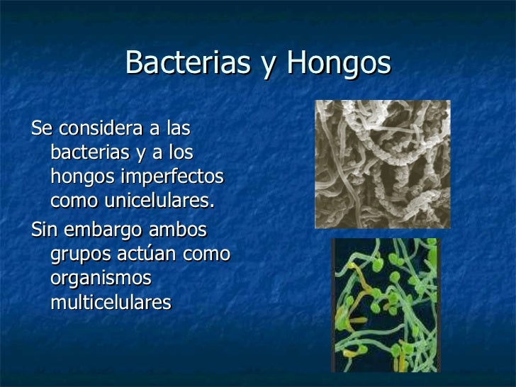 Las medicinas eficaces para el hongo de la piel