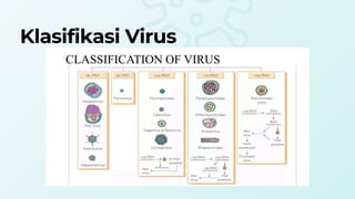 Comprehensive Biology Class 10 Presentation on Bacteria and Viruses | PDF