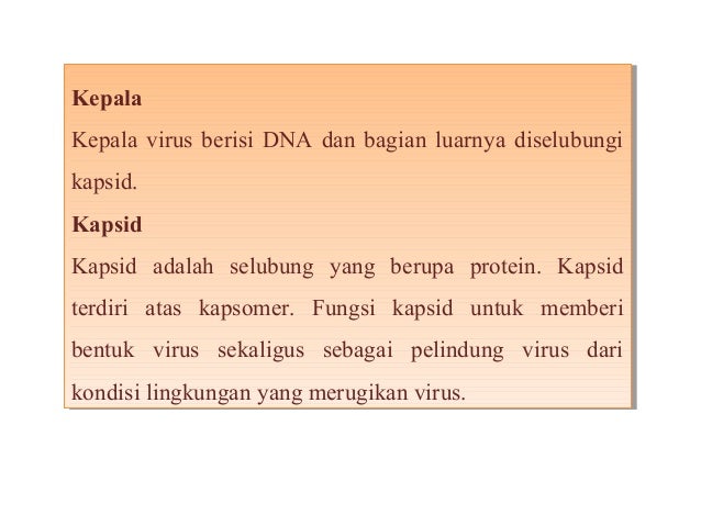 Mengenal Virus