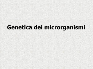 Genetica dei microrganismi 