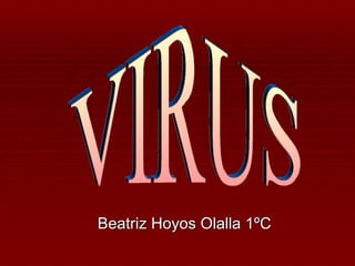 Beatriz Hoyos Olalla 1ºC VIRUS 