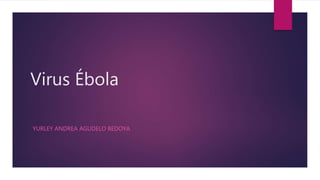 Virus Ébola 
YURLEY ANDREA AGUDELO BEDOYA 
 