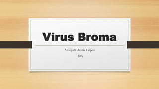 Virus Broma
Ameyalli Acuña López
150A
 