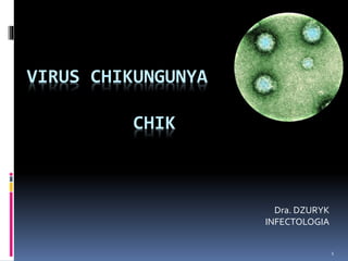 VIRUS CHIKUNGUNYA 
CHIK 
Dra. DZURYK 
INFECTOLOGIA 
1 
 