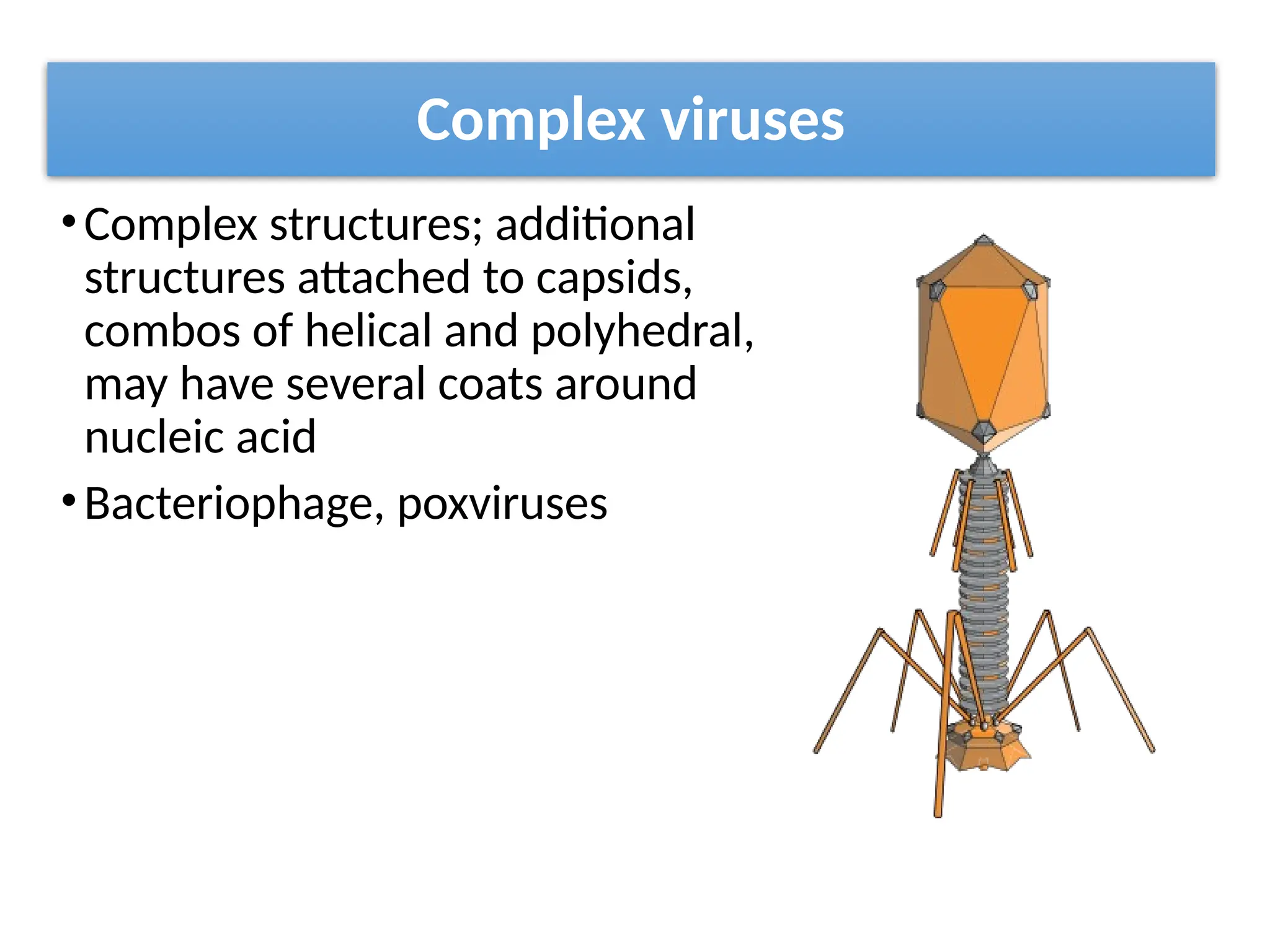 Structures and classification of viruses | PPTX