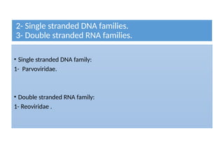 2- Single stranded DNA families.
3- Double stranded RNA families.
• Single stranded DNA family:
1- Parvoviridae.
• Double stranded RNA family:
1- Reoviridae .
 