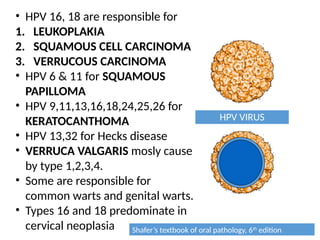 • HPV 16, 18 are responsible for
1. LEUKOPLAKIA
2. SQUAMOUS CELL CARCINOMA
3. VERRUCOUS CARCINOMA
• HPV 6 & 11 for SQUAMOUS
PAPILLOMA
• HPV 9,11,13,16,18,24,25,26 for
KERATOCANTHOMA
• HPV 13,32 for Hecks disease
• VERRUCA VALGARIS mosly cause
by type 1,2,3,4.
• Some are responsible for
common warts and genital warts.
• Types 16 and 18 predominate in
cervical neoplasia
HPV VIRUS
Shafer’s textbook of oral pathology, 6th
edition
 