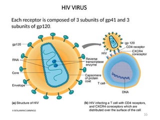 HIV VIRUS
33
Each receptor is composed of 3 subunits of gp41 and 3
subunits of gp120.
 